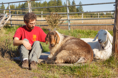 Mower and Jasper were cuddled on a piece of plywood.