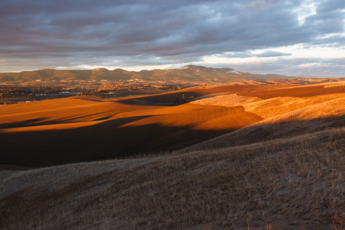 View of Moscow Mountain and the Idaho Palouse.