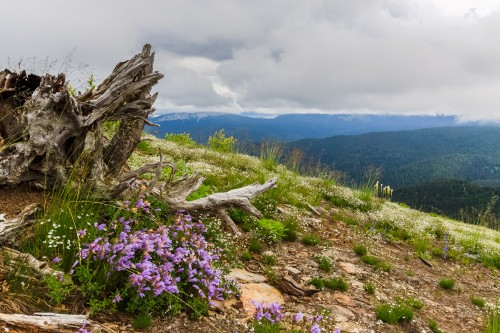 For most of the hike, the mountains were cloaked in the clouds.