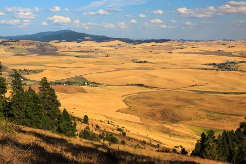 Moscow Mountain from Kamiak Butte