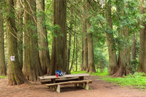 Picnic Table