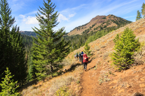 Hiking in on the Tenderfoot Wagon Road