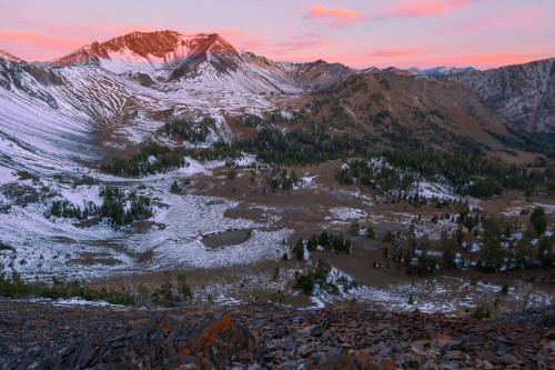 Alpenglow on Pete's Point