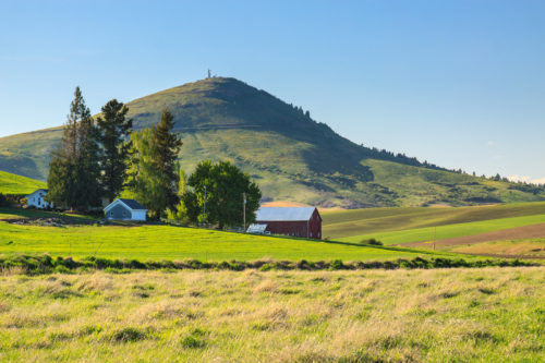 Steptoe Butte rises behind a Palouse farm.