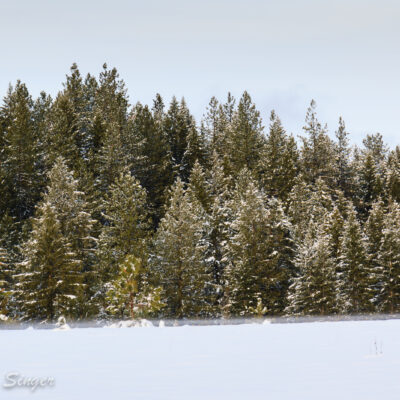 A layer of mist hovers over the snow behind the house.