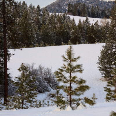 Spud Hill as seen from our property.