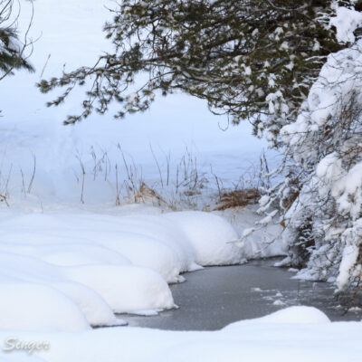 A seasonal creek forms at the bottom of the hill.