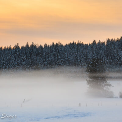 The mist on the snow had accumulated at the bottom of our neighbor's field.