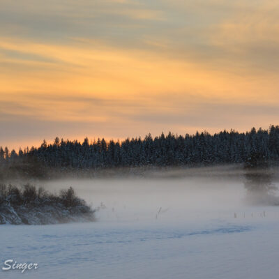 The mist on the snow had accumulated at the bottom of our neighbor's field.