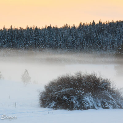 The mist on the snow had accumulated at the bottom of our neighbor's field.