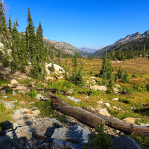 The meadow from the West Fork Lostine River is visible below the shelf.