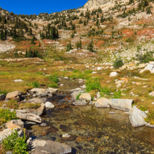 First water source in six miles