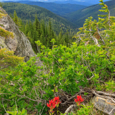 Grandmother Summit View